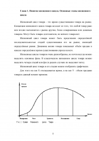 Жизненный цикл товара Образец 16914