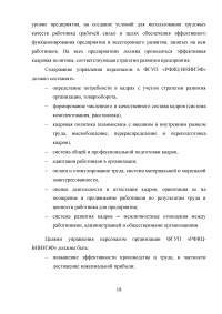 Анализ эффективности управления предприятия ФГУП «Российский федеральный ядерный центр - Всероссийский научно-исследовательский институт экспериментальной физики