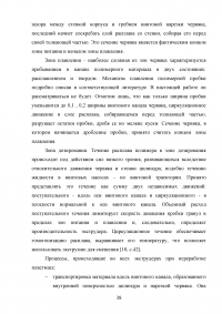 Разработка технологической схемы производства емкостных изделий методом экструзионно-выдувного формования Образец 17010