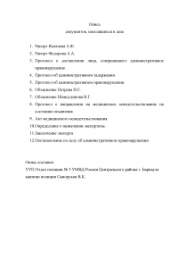 Макет дела об административном правонарушении по статье 20.20 КоАП РФ Образец 20779