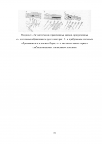 Условия и формы залегания углеводородов в земной коре Образец 24612