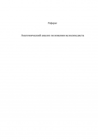 Анатомический анализ положения велосипедиста Образец 3248