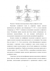 Получение побочных продуктов сульфатной варки, области их использования Образец 2835