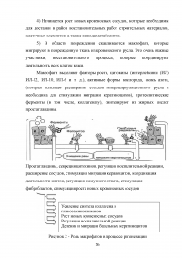 Пилинги в салоне красоты и в домашних условиях Образец 36121