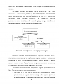 Факторы почвообразования и почвообразующие процессы Образец 35709