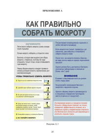 Роль медицинской сестры при уходе за пациентом с первичным туберкулёзом лёгких Образец 38795