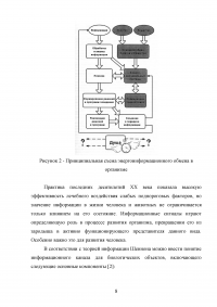 Энергетический подход к описанию живого Образец 40586