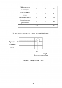 Стратегия развития предприятия Образец 48097