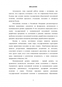 Муниципальная молодёжная политика: совершенствование механизма реализации Образец 50282