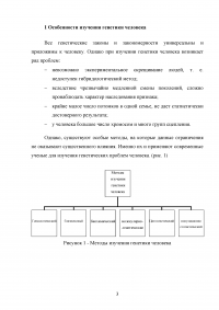 Близнецовый метод в изучении генетики человека Образец 51639