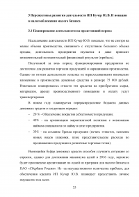 Особенности организации учёта и налогообложения индивидуальных предпринимателей Образец 51772