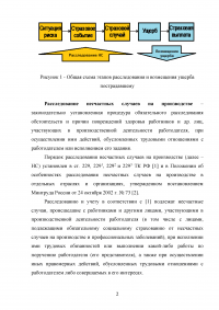 Безопасность жизнедеятельности, 3 ситуационные задачи: Несчастный случай на производстве; Причинно-следственная связь несчастного случая; Расчет освещения помещения. Образец 51540