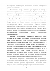 Производство хлебобулочных продуктов Образец 53058