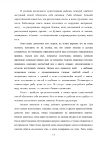 Выживание в условиях автономного существования Образец 59159