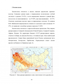 Особенности и борьба с вредителями зерновых культур: шведская муха и зеленоглазка Образец 65001