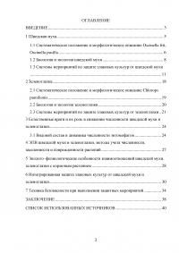 Особенности и борьба с вредителями зерновых культур: шведская муха и зеленоглазка Образец 64985