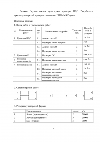 Разработка проекта аудиторской проверки с помощью 