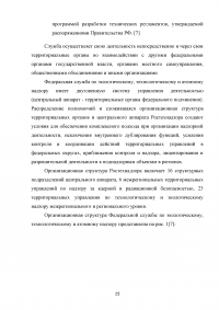 Государственный надзор и контроль в системе обеспечения безопасности опасных производственных объектов Образец 73517