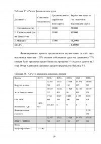 Бизнес план по открытию автомойки Образец 79002