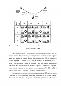 Основы генетики, 8 заданий: Дигибридное скрещивание; Летальные гены; Метод трансплантации эмбрионов; Группы крови сельскохозяйственных животных; Генотип и фенотип; Гидроцефалия и формула Харди-Вайнберга. Образец 85522