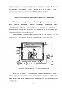 Обмен веществ Образец 87243