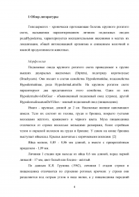 Гиподерматоз крупного рогатого скота в хозяйстве: распространение, диагностика, лечебно-профилактические и оздоровительные мероприятия Образец 91639