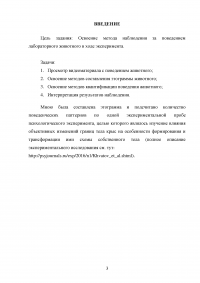 Составление этограммы поведения животного в лабораторном эксперименте Образец 92360