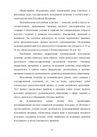 Муниципальная молодежная политика: совершенствование механизмов реализации Образец 94933