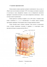 Уход за жирной и проблемной кожей Образец 97662