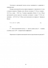 Ультразвуковкое исследование щитовидной железы Образец 98545