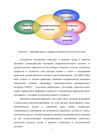 Модели распространения эпидемий Образец 100756