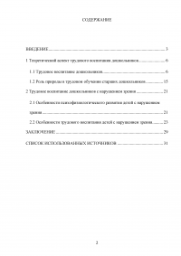 Формирование трудовой деятельности у дошкольников с нарушением зрения Образец 101468