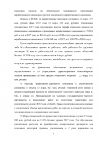 Проведите анализ структуры доходов и расходов территориального или местного бюджета; Заключение о структуре государственного долга Новосибирской области. Образец 101050