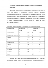 Кератит плотоядных животных в условиях клиники Образец 103625