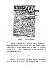 Кератит плотоядных животных в условиях клиники Образец 103614