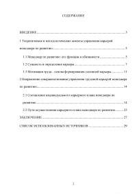 Индивидуальный карьерный план и варианты его выполнения менеджером по развитию Образец 105442