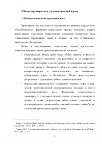 Уголовно-правовые нормы, их виды и структура Образец 105897