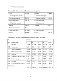 Бизнес-план на три года: строительство, установка, ремонт бытовых печей и каминов Образец 11031