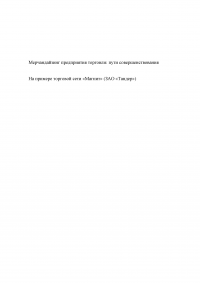 Мерчандайзинг предприятия торговли: пути совершенствования / на примере торговой сети «Магнит» (ЗАО «Тандер») Образец 119955