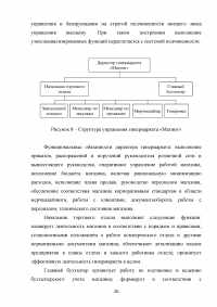 Мерчандайзинг предприятия торговли: пути совершенствования / на примере торговой сети «Магнит» (ЗАО «Тандер») Образец 119980