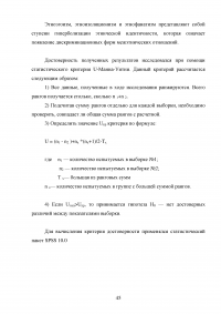 Особенности этнической идентичности в биэтнических семьях Образец 120462