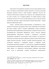 Технология возделывания огурца в защищенном грунте Образец 123822