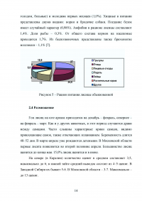 Биология лисицы обыкновенной Образец 12388