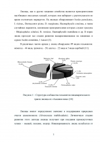 Биология лисицы обыкновенной Образец 12381