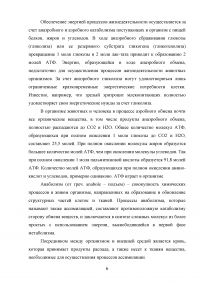 Взаимосвязь обмена веществ и энергии Образец 130760