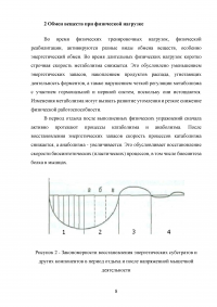 Взаимосвязь обмена веществ и энергии Образец 130762