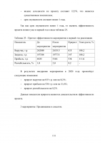 Особенности реализации проекта в малом бизнесе Образец 131356