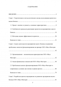 Особенности реализации проекта в малом бизнесе Образец 131247