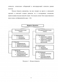Модель освоения чужой культуры Милтона Беннета Образец 131997