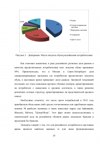 Сегментация и позиционирование товара на рынке обуви Образец 134371